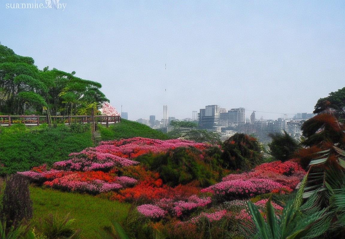 富力VS青岛：战术解析与关键球员表现全解读(图3)